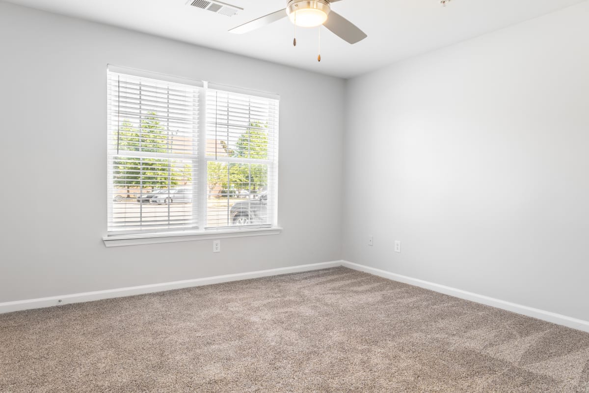 Photos and Video of Autumn Winds in Clarksville, TN